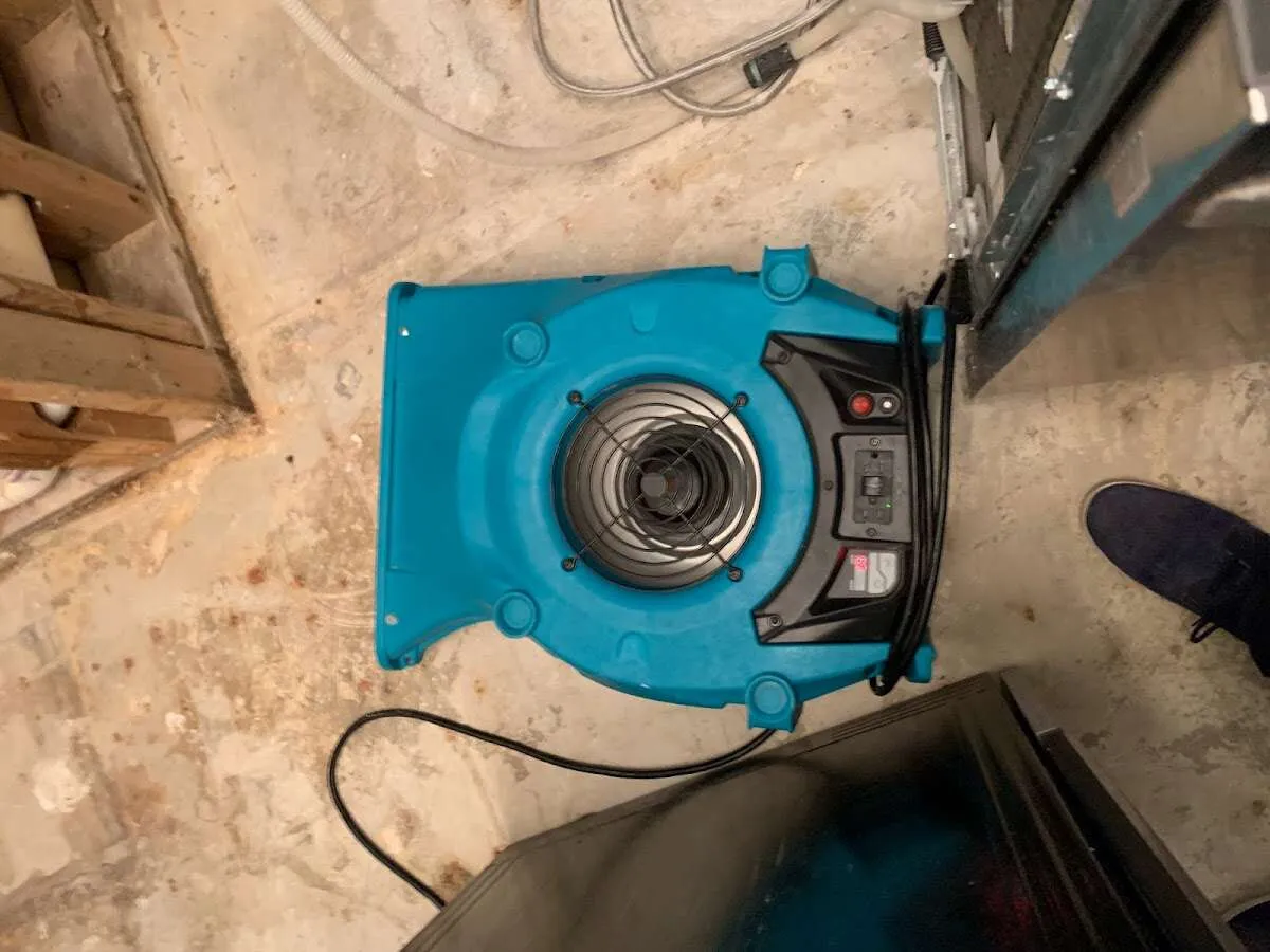 Air mover drying equipment for Mold Remediation & Removal in Grafton